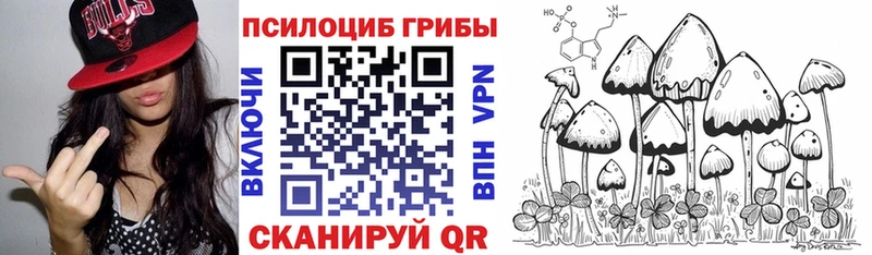 купить   Нея  мега рабочий сайт  Галлюциногенные грибы мухоморы 
